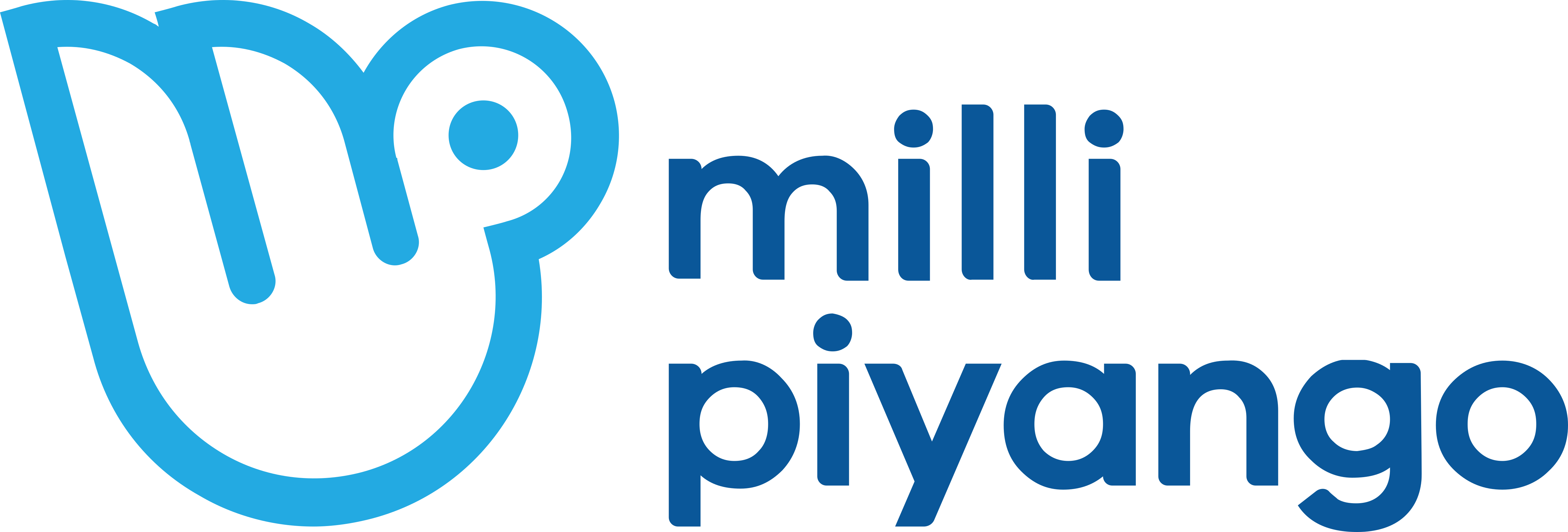 MİLLİ PİYANGO